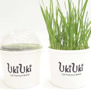 UKIUKI Oat Cat Grass Growing Kit – Organic, Non-GMO, Easy to Grow